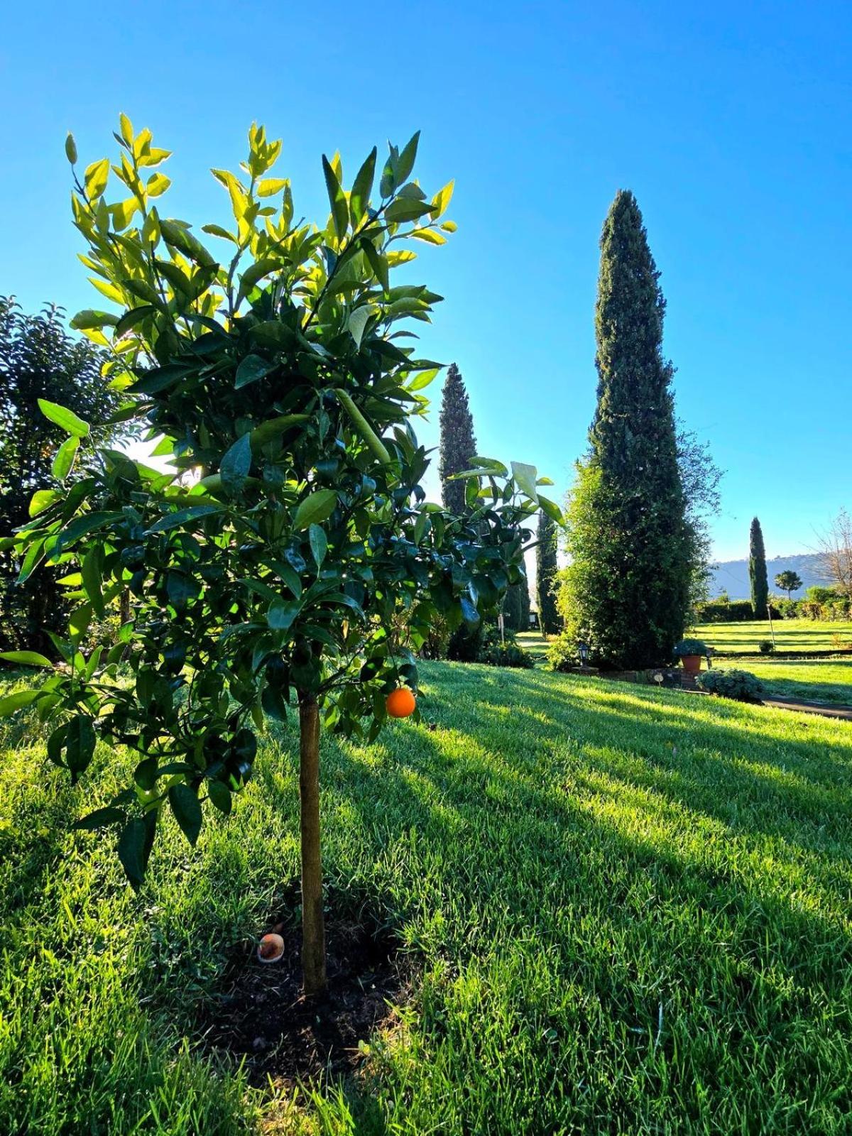 Agriturismo Le Grotte Nemi Exteriér fotografie